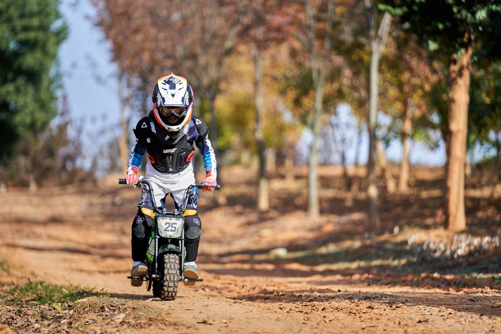 MotoTec 24v 250w Electric Mini Bike Black - Image 12