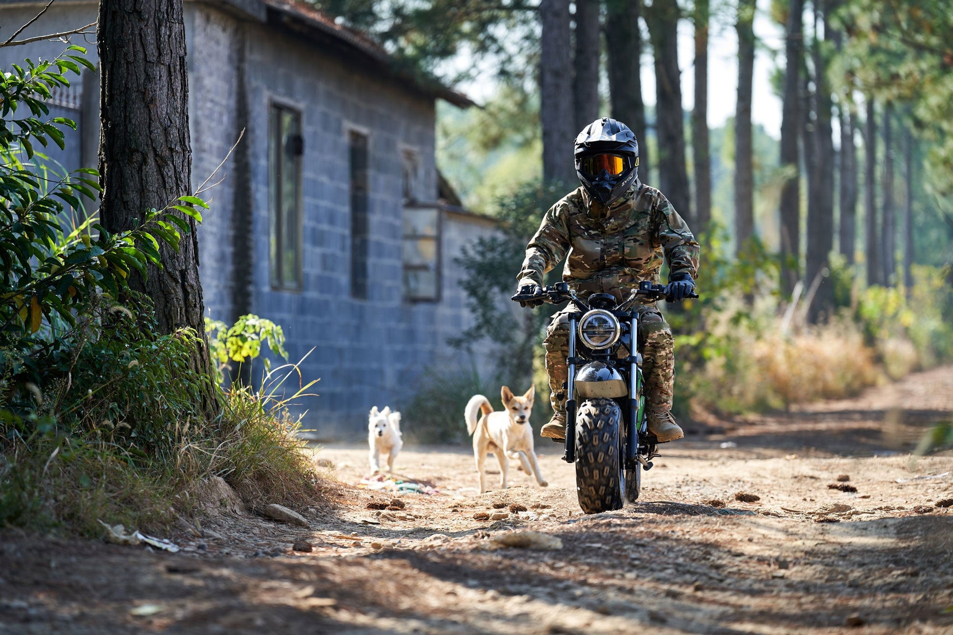 MotoTec 60v 1500w Electric Minibike Lithium Black - Image 17